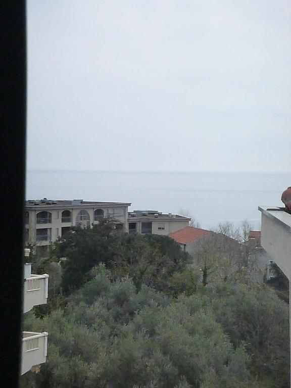 Apartman Ozi Petrovac Kültér fotó