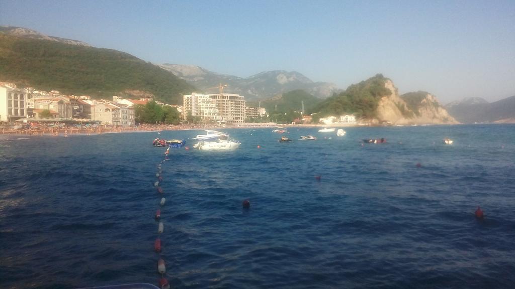 Apartman Ozi Petrovac Kültér fotó